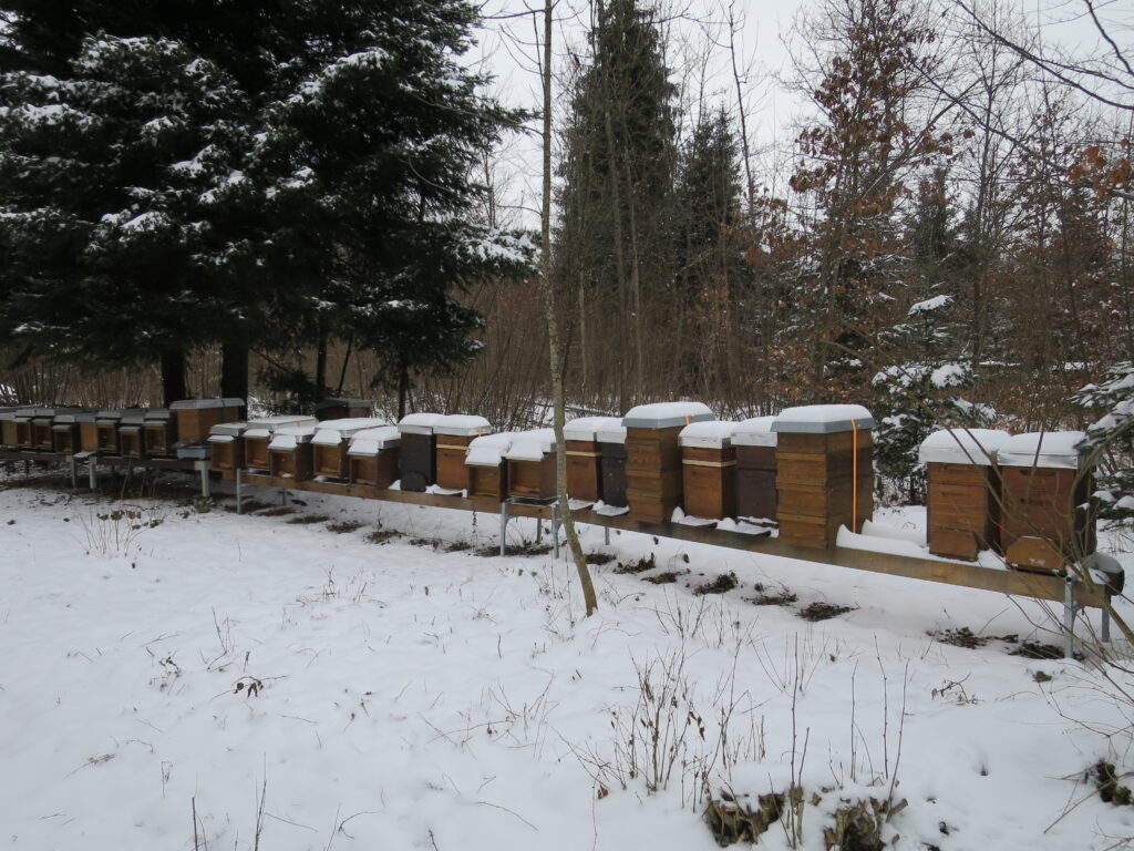 Bienenstand im Winter